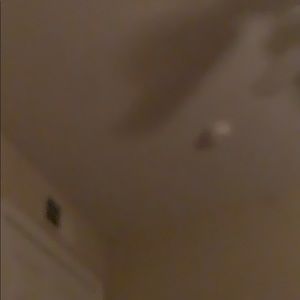 Meet your Posher, Alison